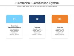 Hierarchical classification system ppt powerpoint presentation ideas cpb