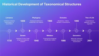 Hierarchical Classification Systems Organizational Taxonomy PPT Designs AT Captivating Professional
