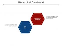 Hierarchical data model ppt powerpoint presentation infographics designs cpb