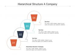 Hierarchical structure a company ppt powerpoint presentation infographic template clipart images cpb