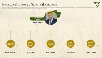 Hierarchical Structure Of Farm Marketing Team Farm Marketing Plan To Increase Profit Strategy SS