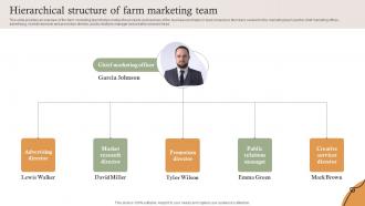 Hierarchical Structure Of Farm Marketing Team Farm Services Marketing Strategy SS V