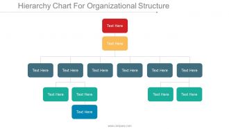 Hierarchy chart for organizational structure ppt inspiration