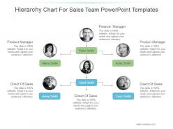 Hierarchy chart for sales team powerpoint templates