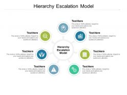 Hierarchy escalation model ppt powerpoint presentation portfolio graphics design cpb