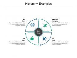 Hierarchy examples ppt powerpoint presentation file example cpb
