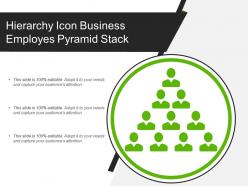 Hierarchy icon business employes pyramid stack