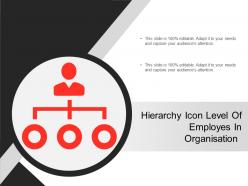 Hierarchy Icon Level Of Employes In Organisation