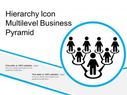 Hierarchy icon multilevel business pyramid