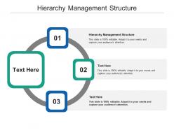 Hierarchy management structure ppt powerpoint presentation styles topics cpb