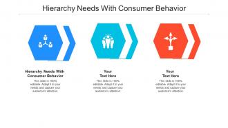 Hierarchy needs with consumer behavior ppt powerpoint presentation infographics display cpb