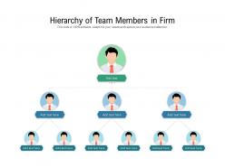 Hierarchy of team members in firm