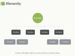 Hierarchy Ppt Pictures Infographic Template