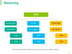 Hierarchy ppt portfolio information