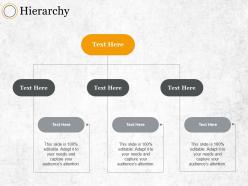 Hierarchy ppt summary designs download