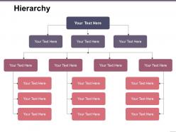 Hierarchy Presentation Outline