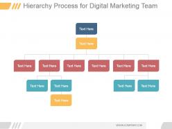 Hierarchy process for digital marketing team ppt slide examples