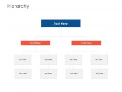 Hierarchy Project Strategy Process Scope And Schedule Ppt Portfolio Files