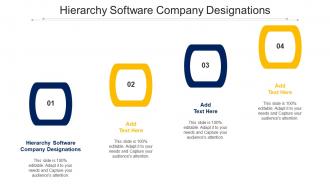 Hierarchy Software Company Designations Ppt Powerpoint Presentation Styles Cpb