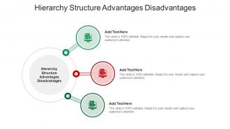Hierarchy Structure Advantages Disadvantages In Powerpoint And Google Slides Cpb
