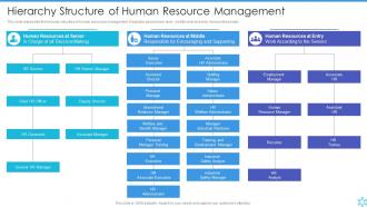 Hierarchy Structure Of Human Resource Management