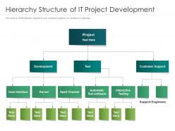 Hierarchy structure of it project development