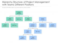 Hierarchy structure of project management with teams different positions