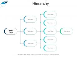 Hierarchy with four steps ppt powerpoint presentation pictures display