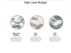 High level budget ppt powerpoint presentation infographic template graphics cpb