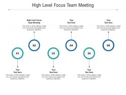High level focus team meeting ppt powerpoint presentation summary gallery cpb