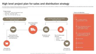 High Level Project Plan For Sales And Distribution Strategy
