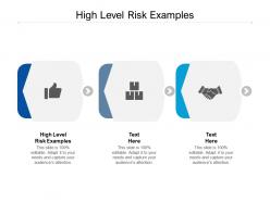 High level risk examples ppt powerpoint presentation gallery templates cpb