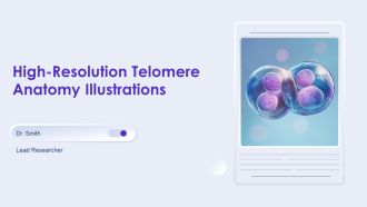 High Resolution Telomere Anatomy Illustrations PPT Template AT