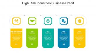 High Risk Industries Business Credit Ppt Powerpoint Presentation Show Diagrams Cpb