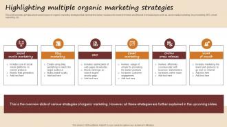 Highlighting Multiple Organic Marketing Strategies Streamlined Advertising Plan