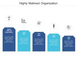 Highly matrixed organization ppt powerpoint presentation infographics graphics pictures cpb