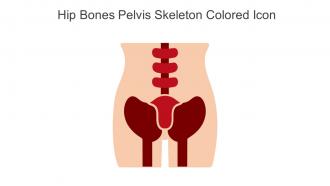Hip Bones Pelvis Skeleton Colored Icon In Powerpoint Pptx Png And Editable Eps Format