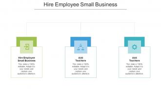 Hire Employee Small Business Ppt PowerPoint Presentation Infographics Shapes Cpb
