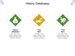History databases ppt powerpoint presentation model show cpb