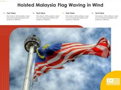 Hoisted malaysia flag waving in wind