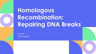 Homologous Recombination Repairing DNA Breaks PPT Outline AT