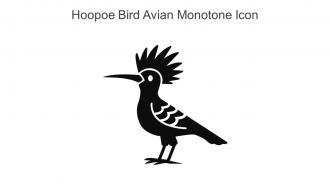 Hoopoe Bird Avian Monotone Icon In Powerpoint Pptx Png And Editable Eps Format