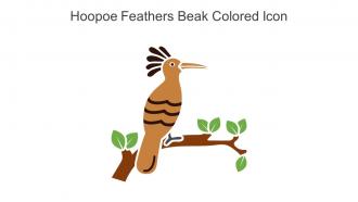 Hoopoe Feathers Beak Colored Icon In Powerpoint Pptx Png And Editable Eps Format