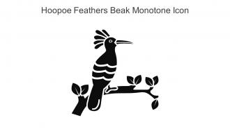 Hoopoe Feathers Beak Monotone Icon In Powerpoint Pptx Png And Editable Eps Format