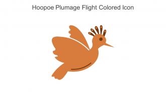 Hoopoe Plumage Flight Colored Icon In Powerpoint Pptx Png And Editable Eps Format