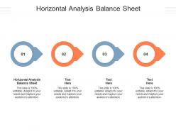 Horizontal analysis balance sheet ppt powerpoint presentation infographic template graphics cpb
