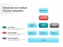 Horizontal and vertical process integration