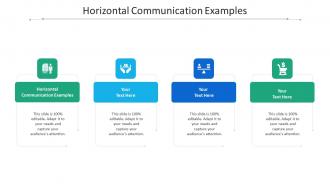 Horizontal communication examples ppt powerpoint presentation infographics cpb