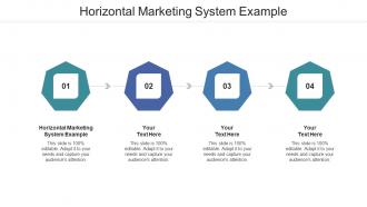Horizontal Marketing System Example Ppt Powerpoint Presentation Infographic Gallery Cpb