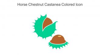 Horse Chestnut Castanea Colored Icon In Powerpoint Pptx Png And Editable Eps Format
